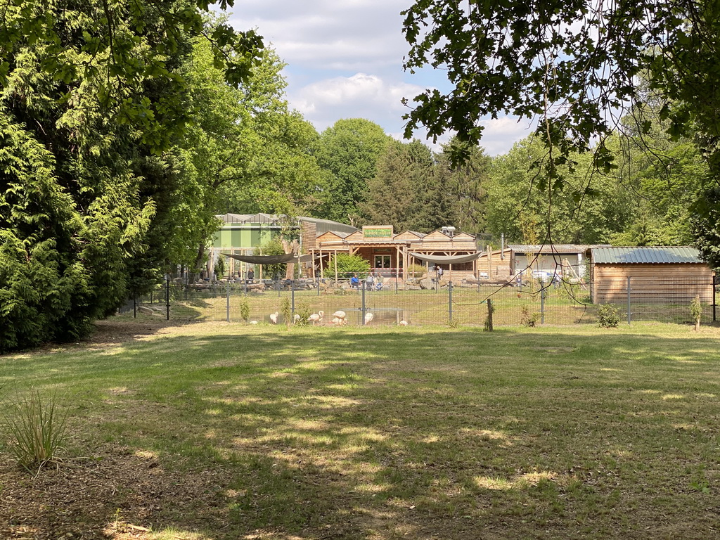 Flamingos and the front of the Bamboo Jungle hall at Zoo Veldhoven, viewed from the new path