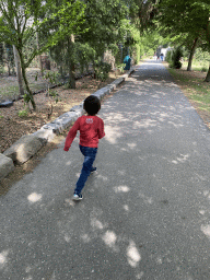 Max on a path at Zoo Veldhoven