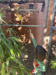 Max feeding Parakeets at Zoo Veldhoven