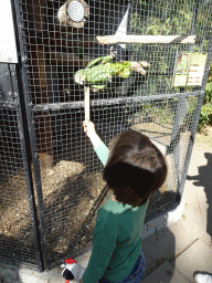 Max feeding a Parrot at Zoo Veldhoven