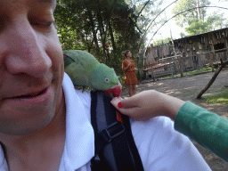 Max feeding a Parrot on Tim`s shoulder in an Aviary at Zoo Veldhoven