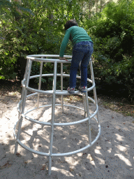 Max at a playground at Zoo Veldhoven