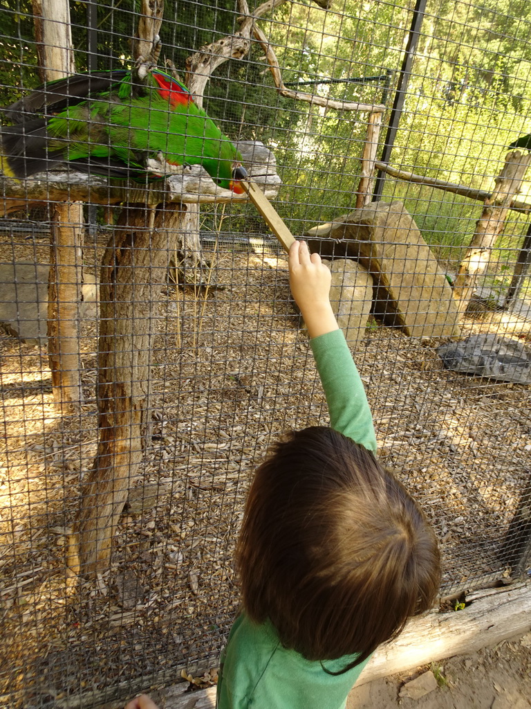 Max feeding a Parrot at Zoo Veldhoven