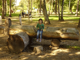 Max on a tree at the Kabouterpad path at Zoo Veldhoven