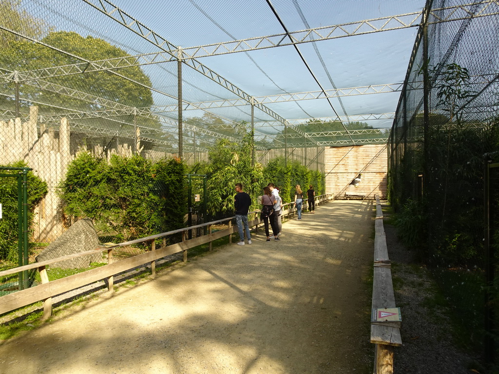 Aviary with Birds of Prey at Zoo Veldhoven