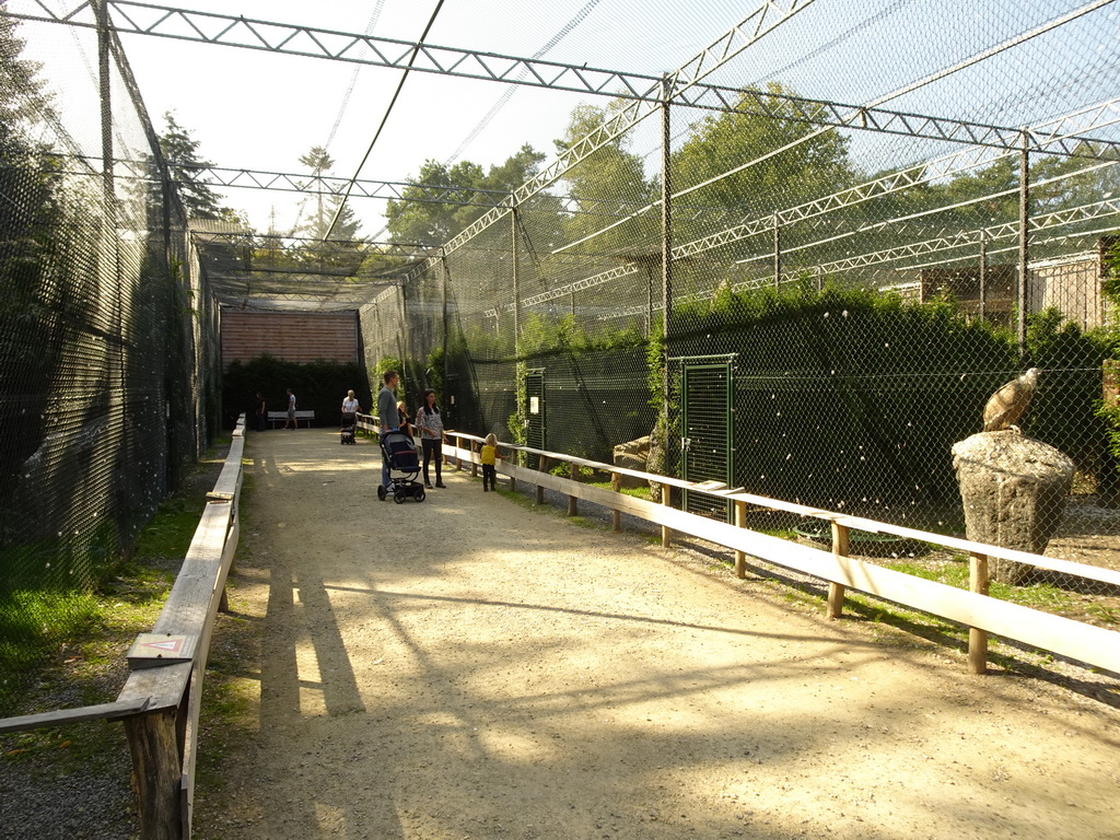 Aviary with Birds of Prey at Zoo Veldhoven