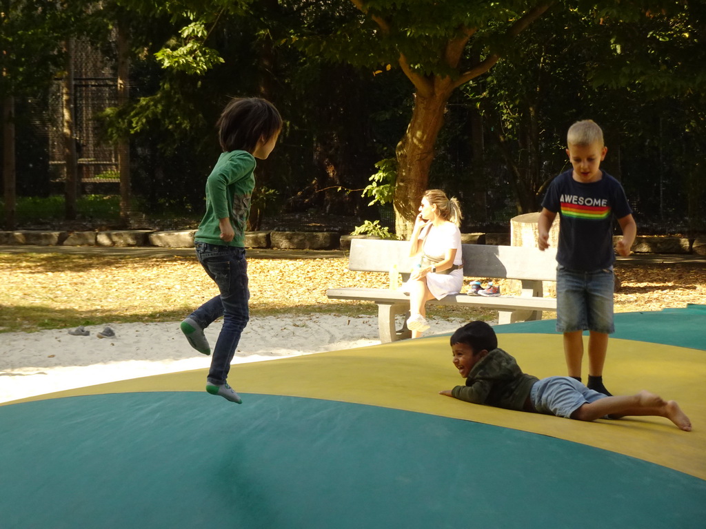 Max on the trampoline at the large playground at Zoo Veldhoven