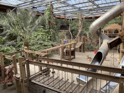 Playground in the Bamboo Jungle hall at Zoo Veldhoven