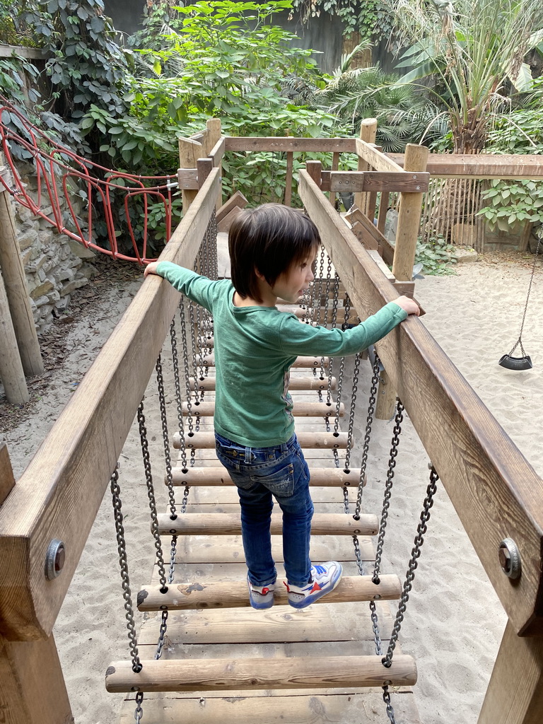 Max at the playground in the Bamboo Jungle hall at Zoo Veldhoven