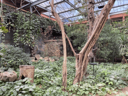 Interior of the Bamboo Jungle hall at Zoo Veldhoven