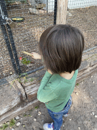 Max feeding a Parakeet at Zoo Veldhoven