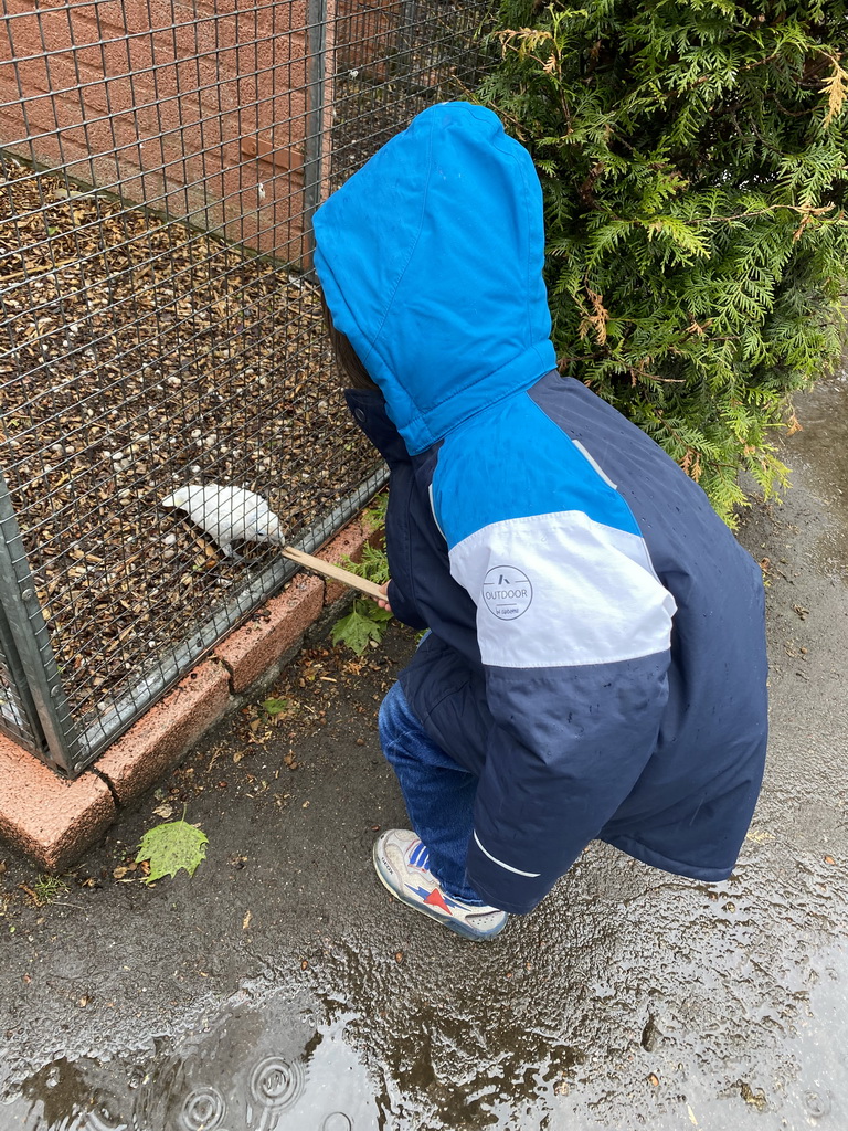 Max feeding a Parrot at Zoo Veldhoven