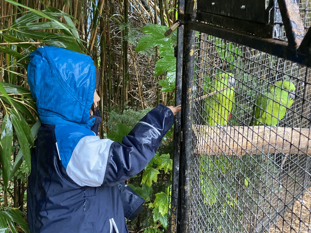 Max feeding Parrots at Zoo Veldhoven