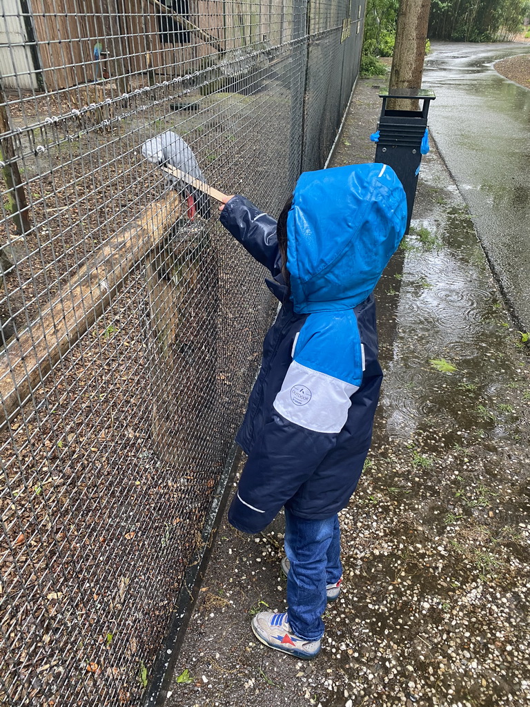 Max feeding a Parrot at Zoo Veldhoven