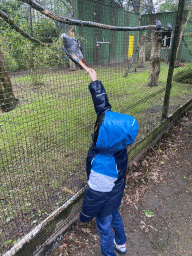 Max feeding a Parrot at Zoo Veldhoven