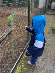 Max feeding a Bolivian Blue-fronted Amazon at Zoo Veldhoven