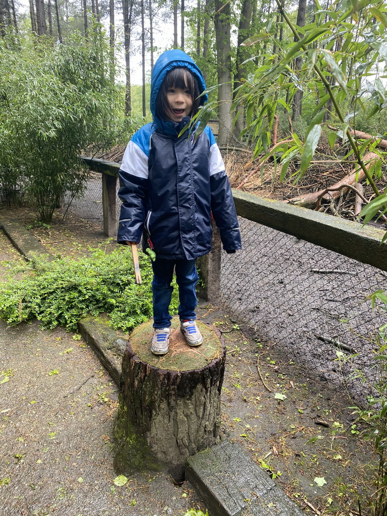 Max at Zoo Veldhoven