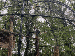 Spherical aviary with Eagles at Zoo Veldhoven