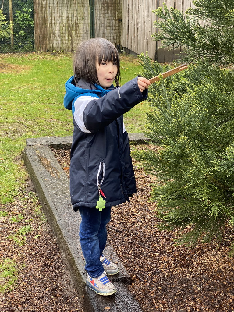 Max at Zoo Veldhoven