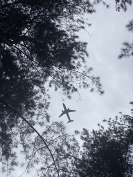 Airplane flying over Zoo Veldhoven