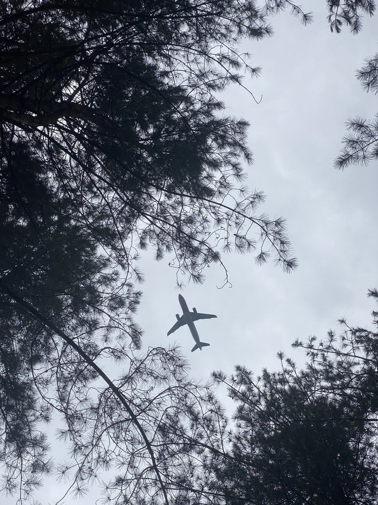 Airplane flying over Zoo Veldhoven