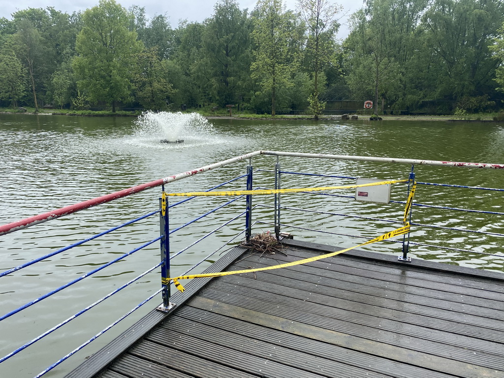 Pond with fountain and a bird`s nest at Zoo Veldhoven