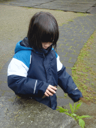 Max at Zoo Veldhoven