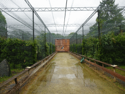 Aviary with Birds of Prey at Zoo Veldhoven