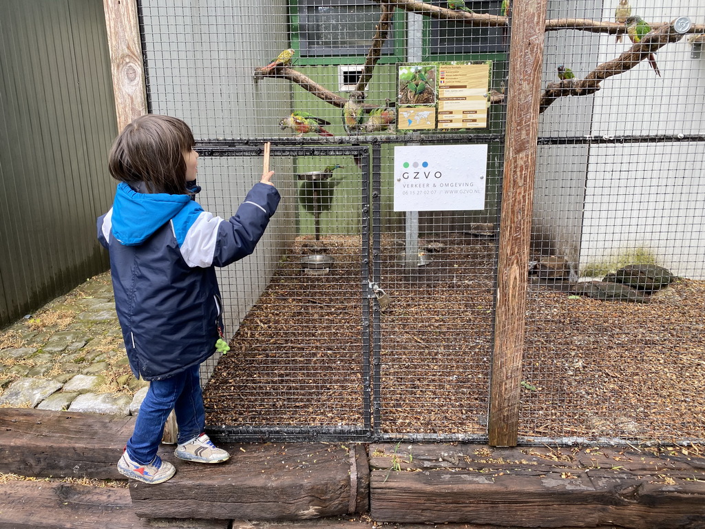 Max feeding Parakeets at Zoo Veldhoven