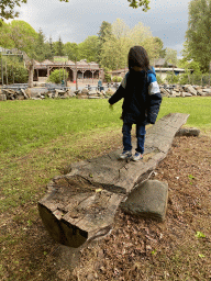 Max on a wooden bench at Zoo Veldhoven