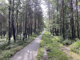 The Imboschweg road, viewed from Tim`s rental bike