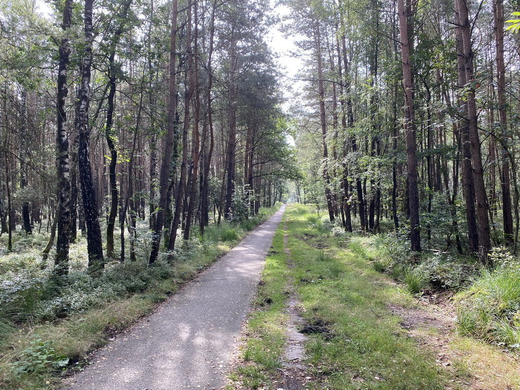 The Imboschweg road, viewed from Tim`s rental bike