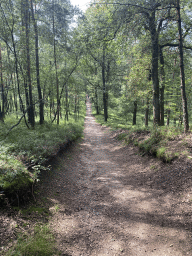 The path from the De Lange Juffer parking lot to the Elsberg hill