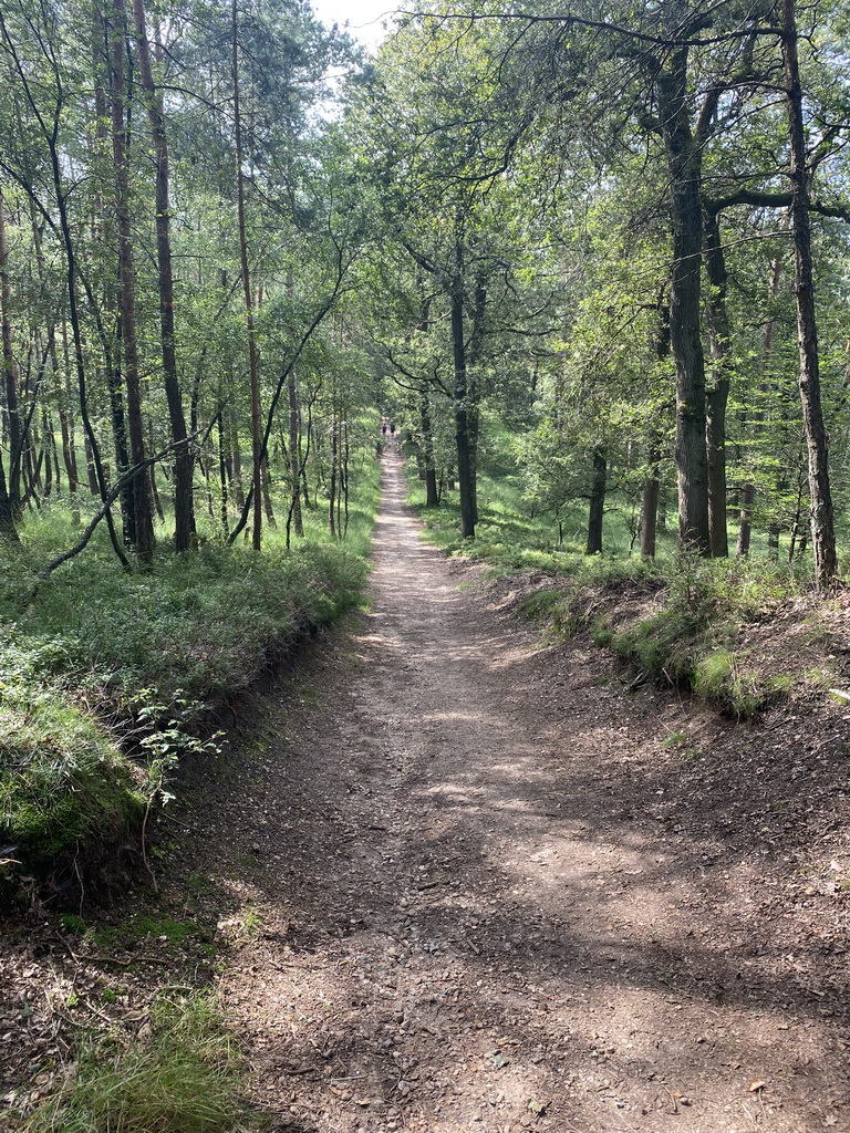 The path from the De Lange Juffer parking lot to the Elsberg hill