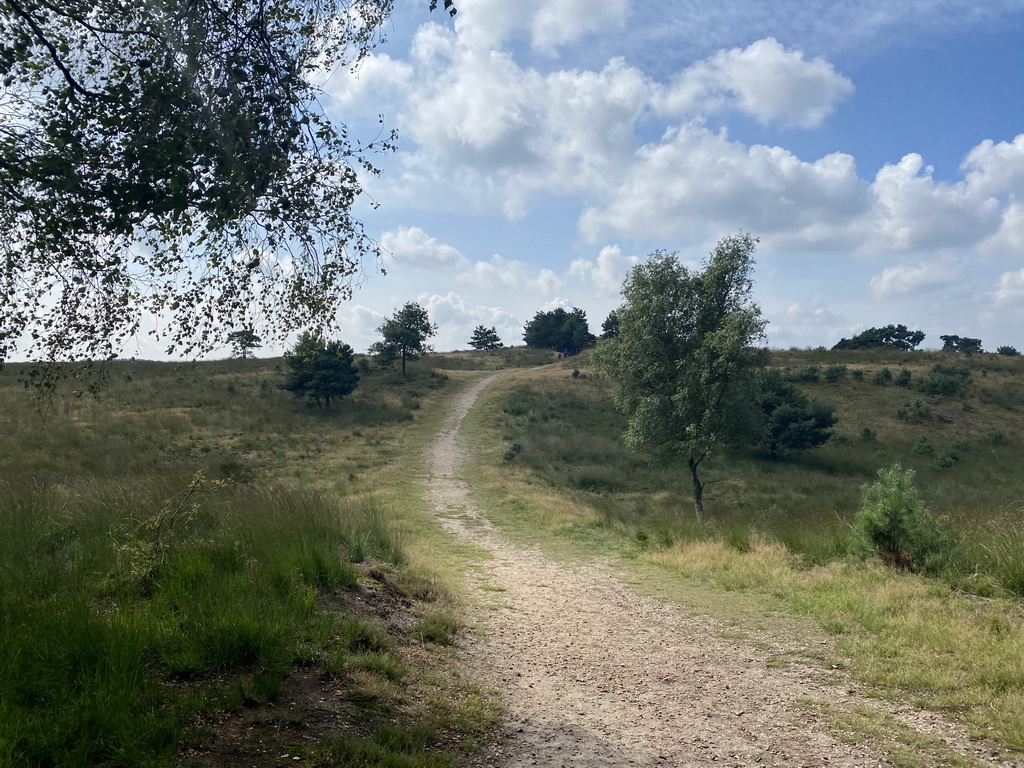 The path to the Elsberg hill