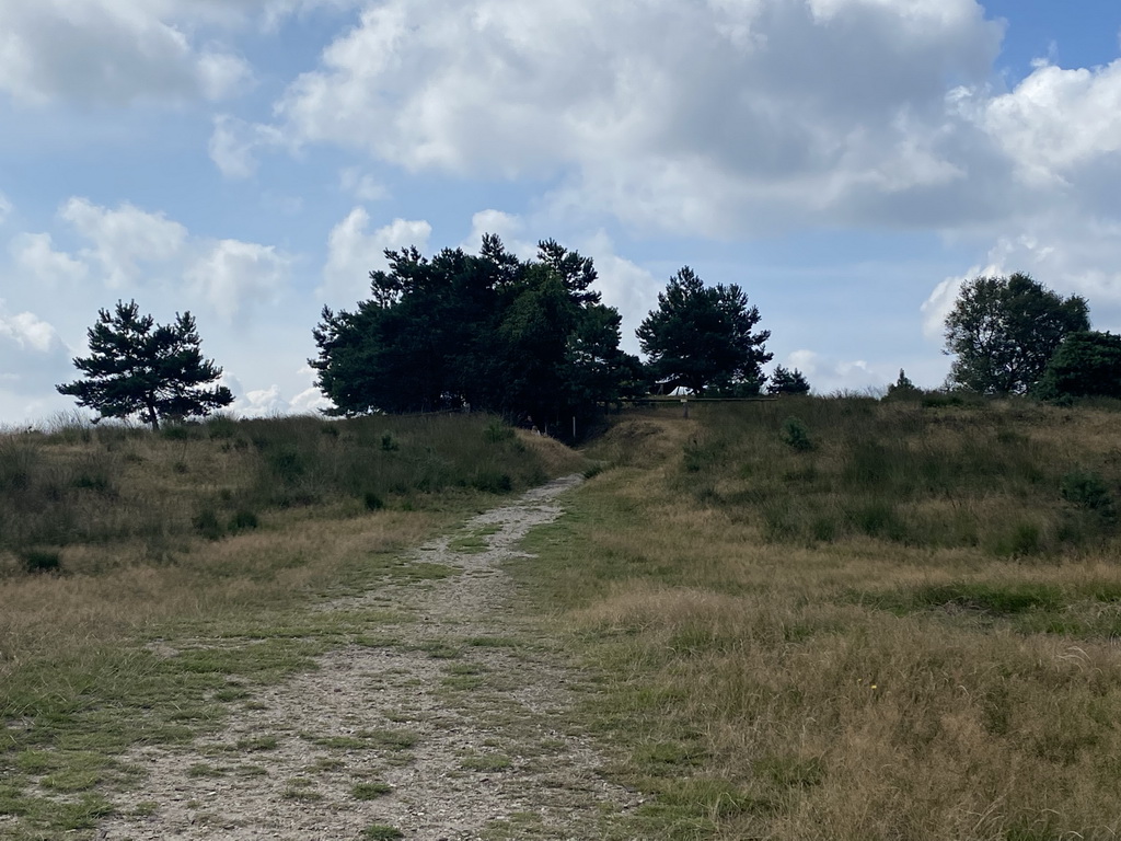 The path to the Elsberg hill