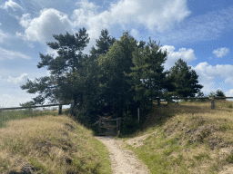 Entrance to the Elsberg hill