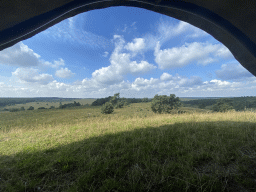 Hills and trees around the Elsberg hill, viewed from the Nature Observation Post