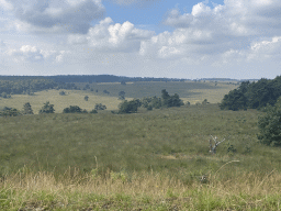 Hills and trees around the Elsberg hill, viewed from the Nature Observation Post