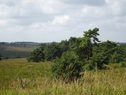 Hills and trees around the Elsberg hill, viewed from the Nature Observation Post