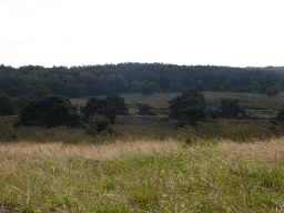 Hills and trees around the Elsberg hill, viewed from the Nature Observation Post