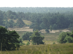 Hills and trees around the Elsberg hill, viewed from the Nature Observation Post