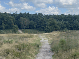 The path from the Elsberg hill