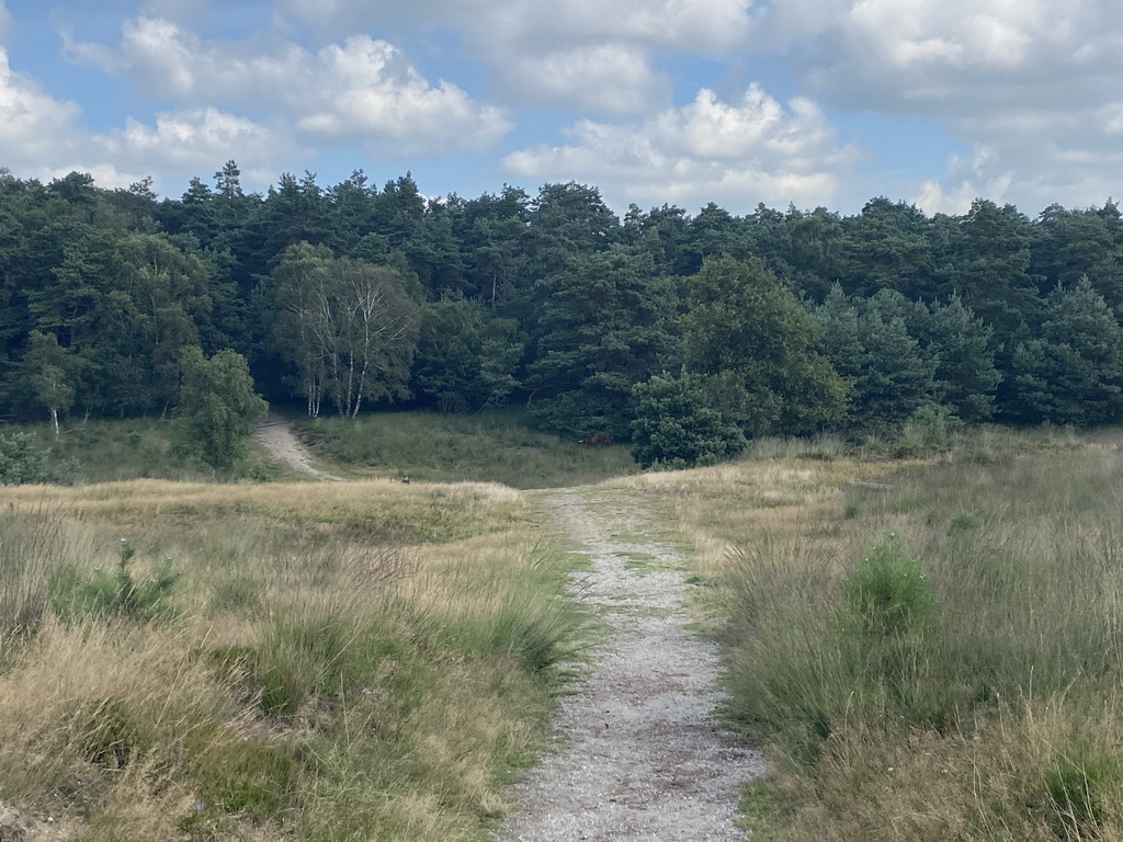 The path from the Elsberg hill