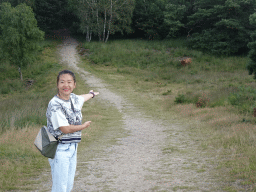 Miaomiao with Highland Cattle next to the path from the Elsberg hill