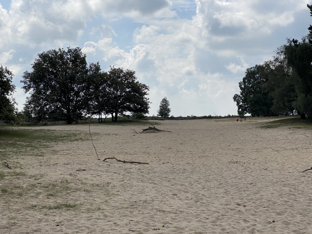 North side of the Posbank hill, viewed from the Herikhuizerveld parking lot