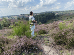 Miaomiao with trees and purple heather near the top of the Posbank hill