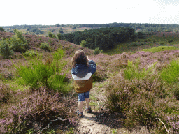 Max making a photograph of trees and purple heather near the top of the Posbank hill