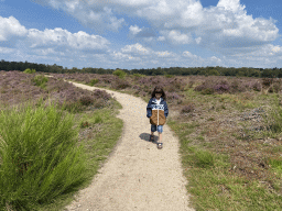 Max with trees and purple heather near the top of the Posbank hill