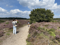 Miaomiao making a photograph of Max, a tree and purple heather near the top of the Posbank hill
